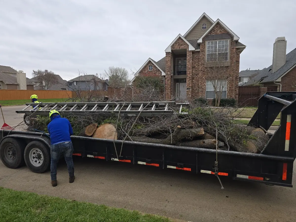 Expert Tree Pest Control with proper safety equipment in Sparrow Bush